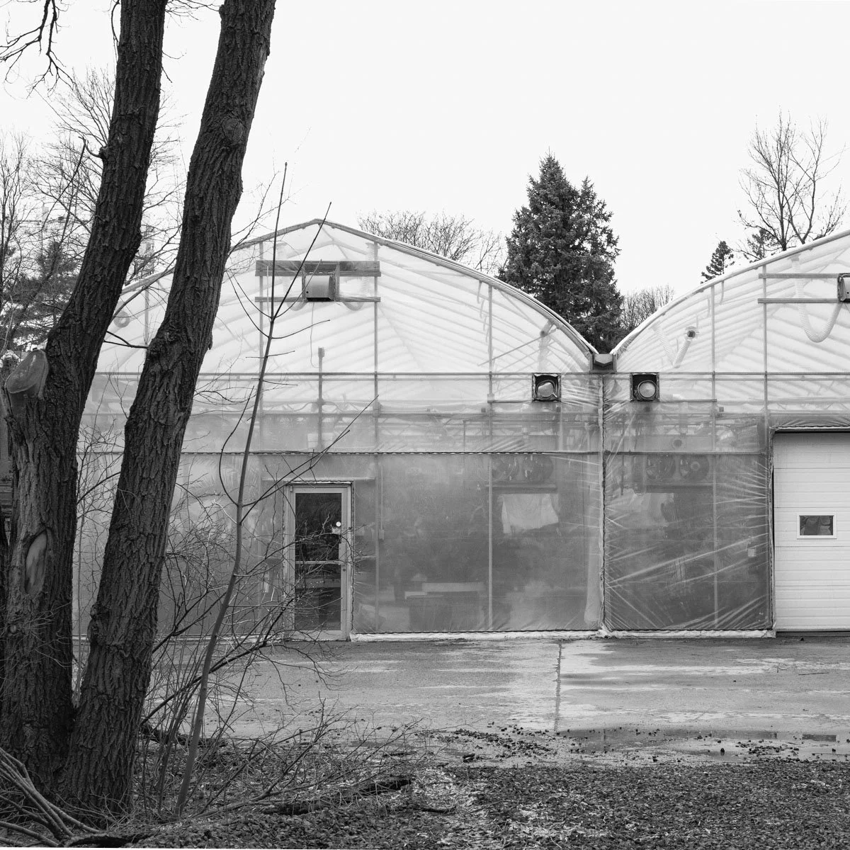 des Floralies - 03.2024