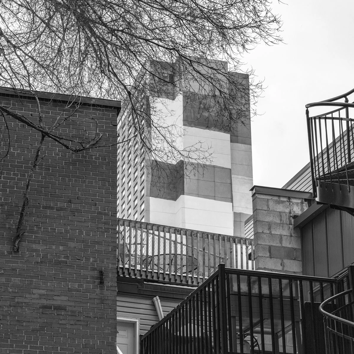 Saint-Hubert  - 02.2024