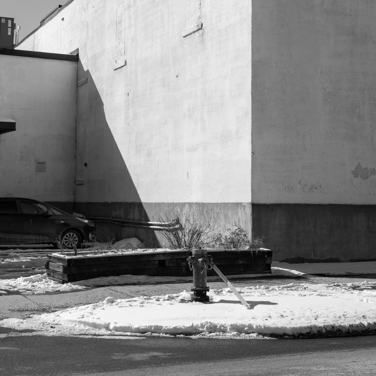 Parthenais  - 02.2024