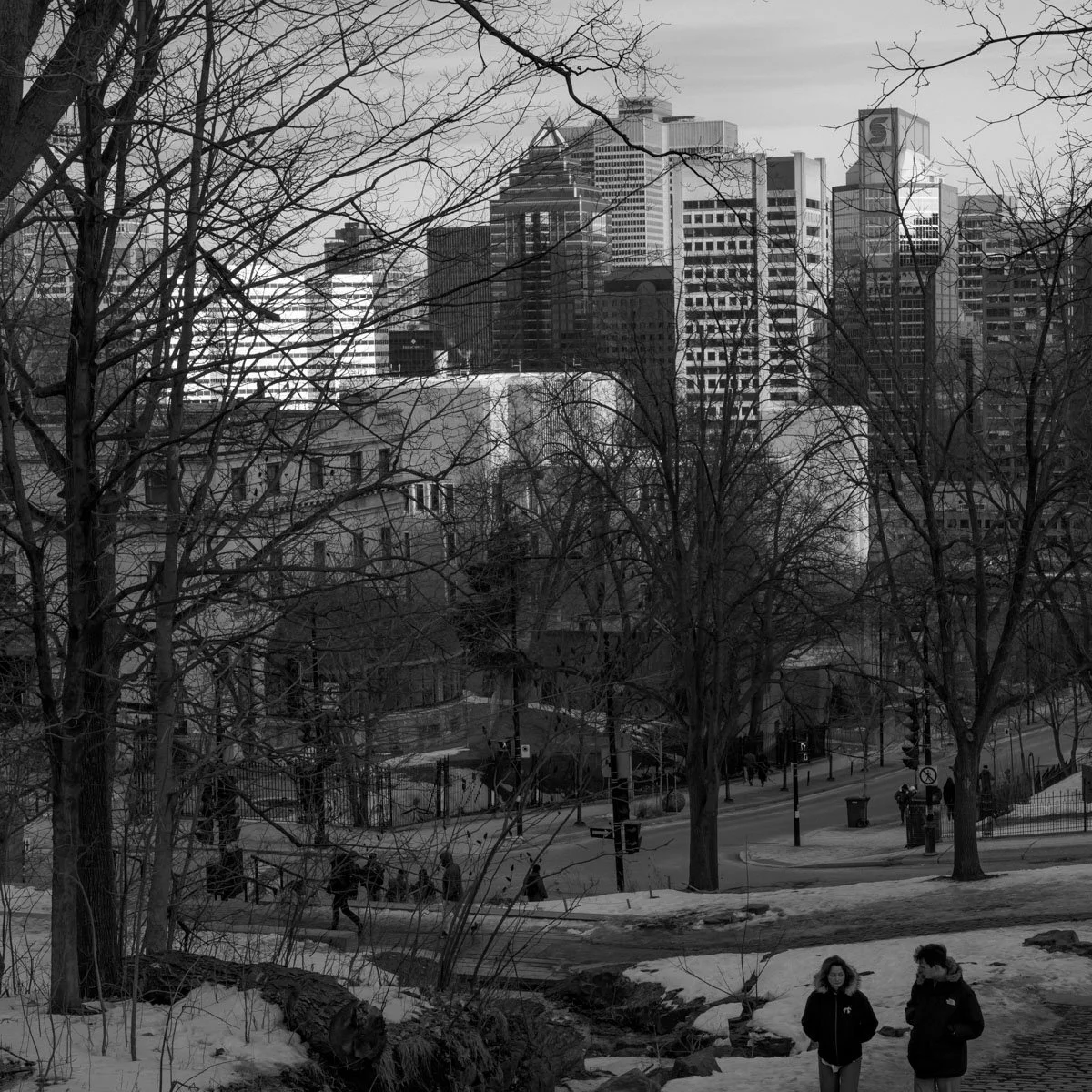 le Serpentin - 02.2024