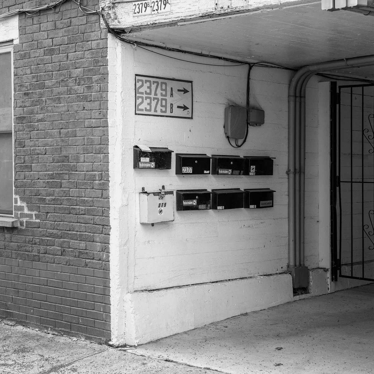 Olivier-Robert - 02.2024