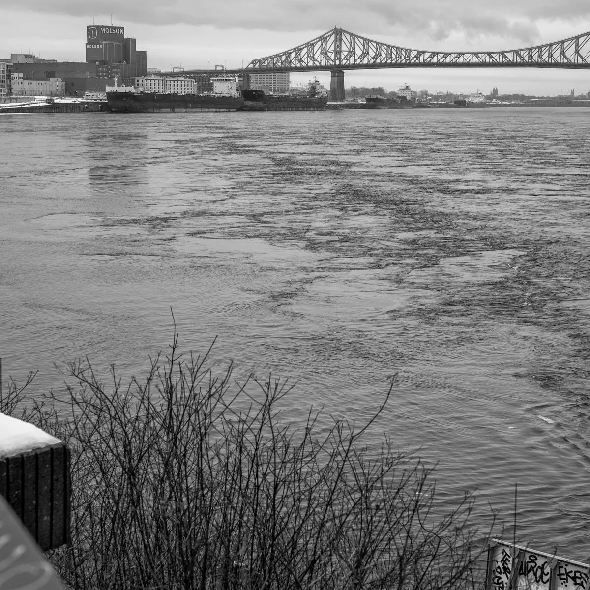 Parc de Dieppe - 01.2024