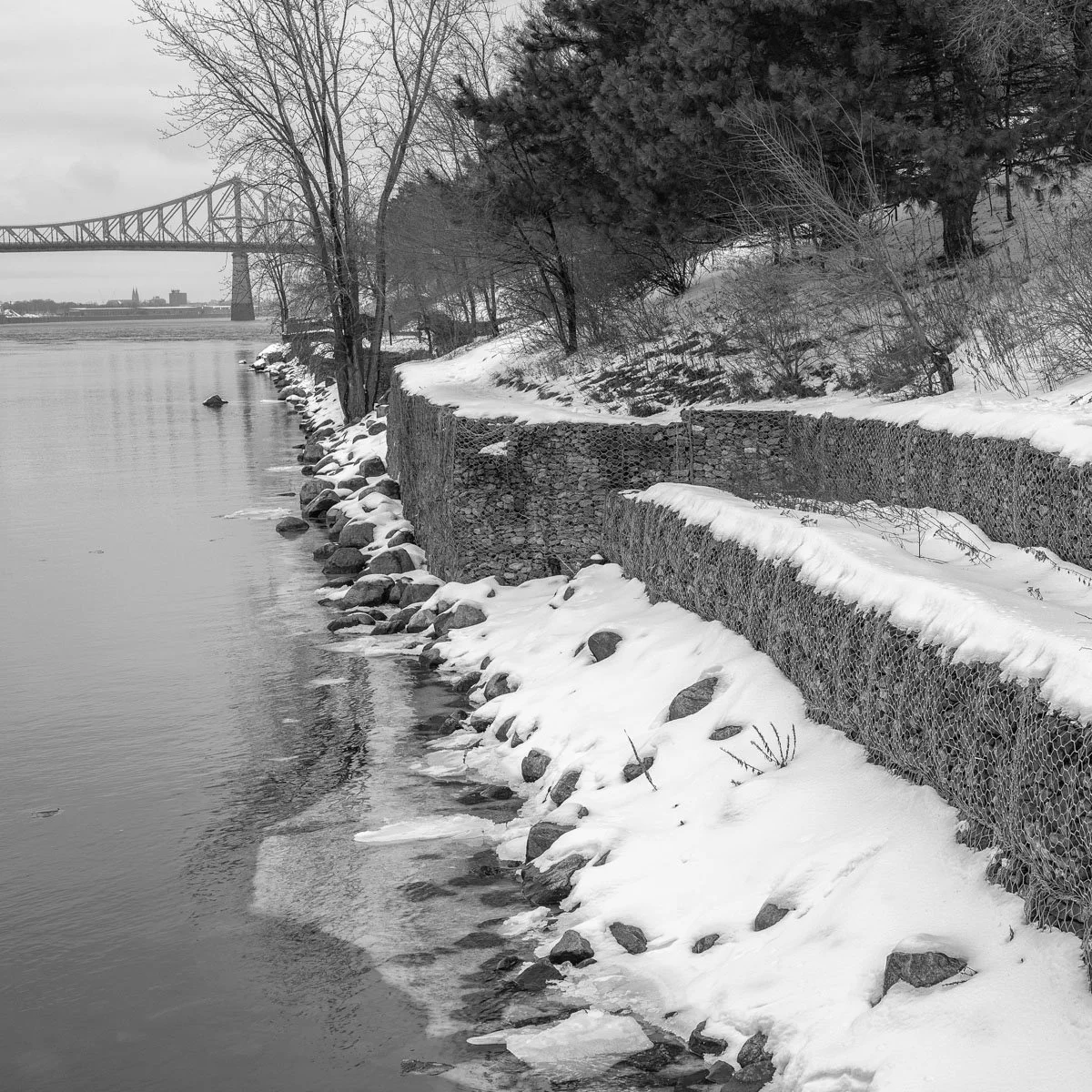 Parc de Dieppe - 01.2024