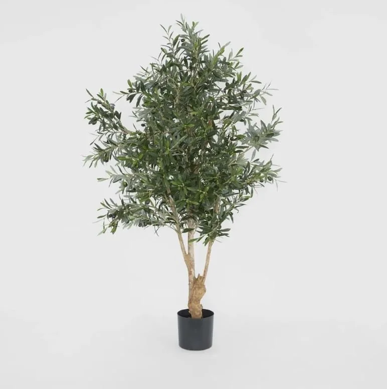 Decor_Olive Tree_150.JPG