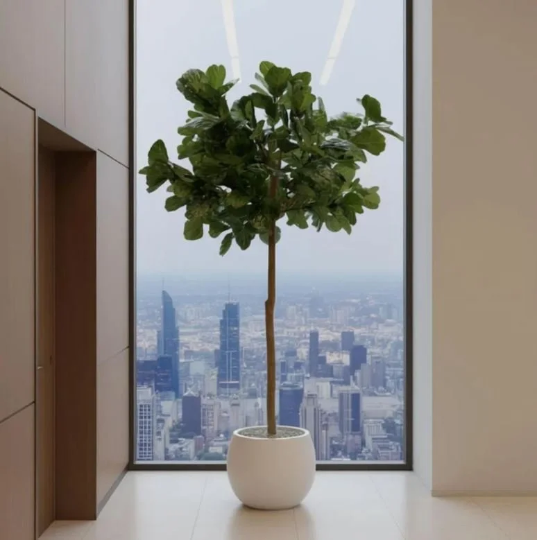 Decor_fiddle leaf_2.JPG