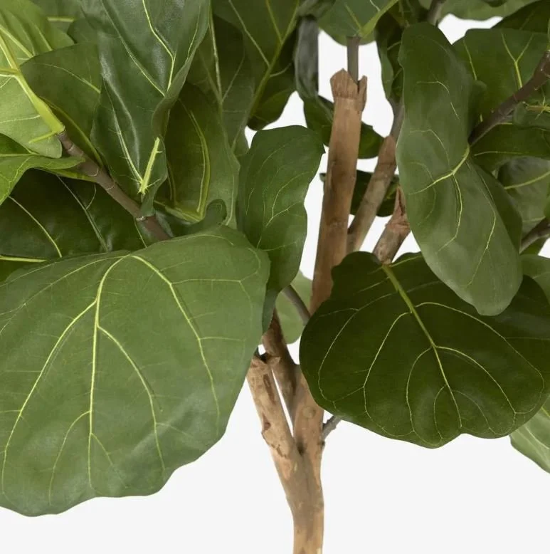 Decor_fiddle leaf_3.JPG