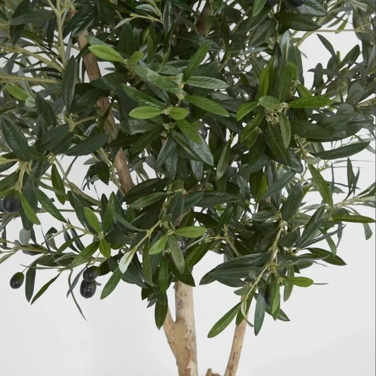 Decor_Olive Tree_150 3.JPG