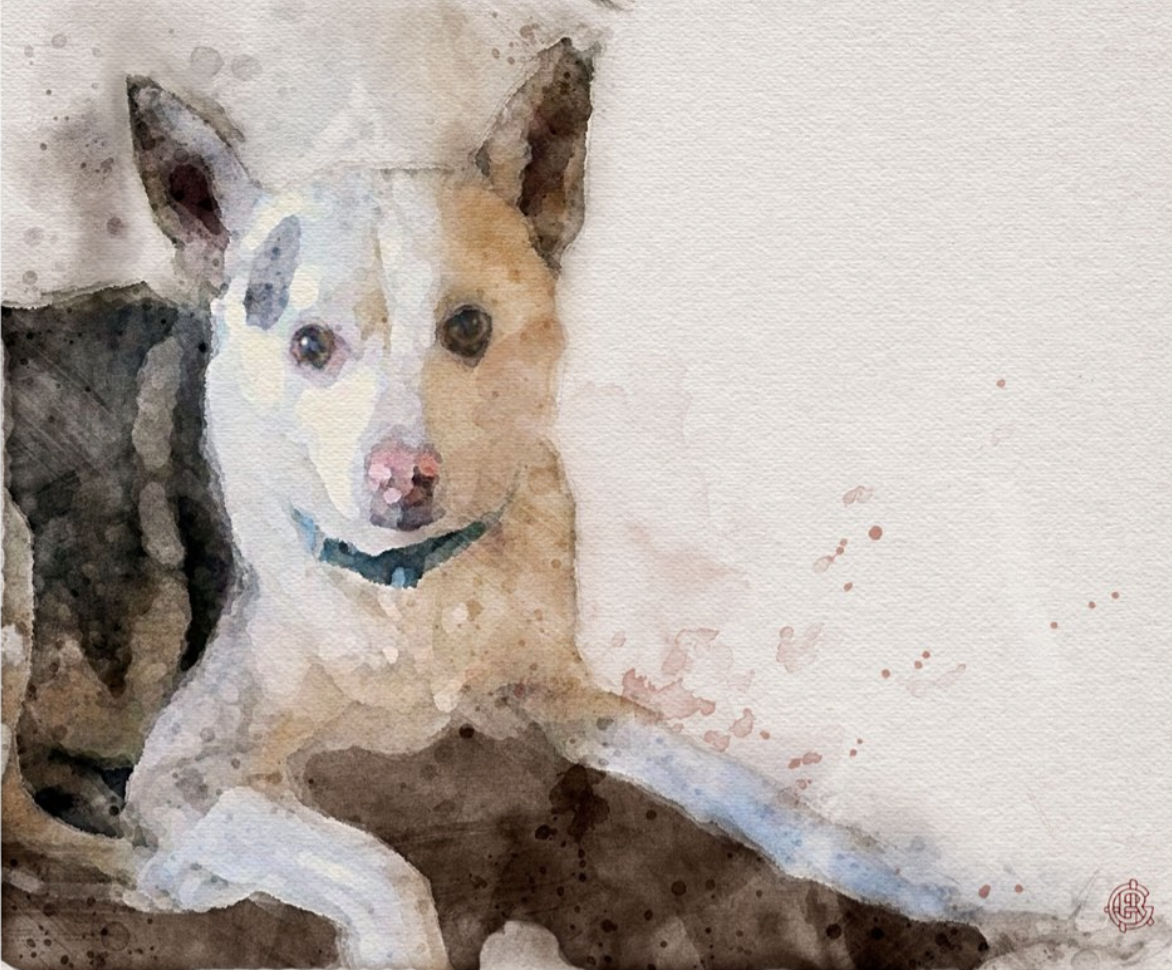 Screenshot 2024-02-11 at 11.33.46 AM.png