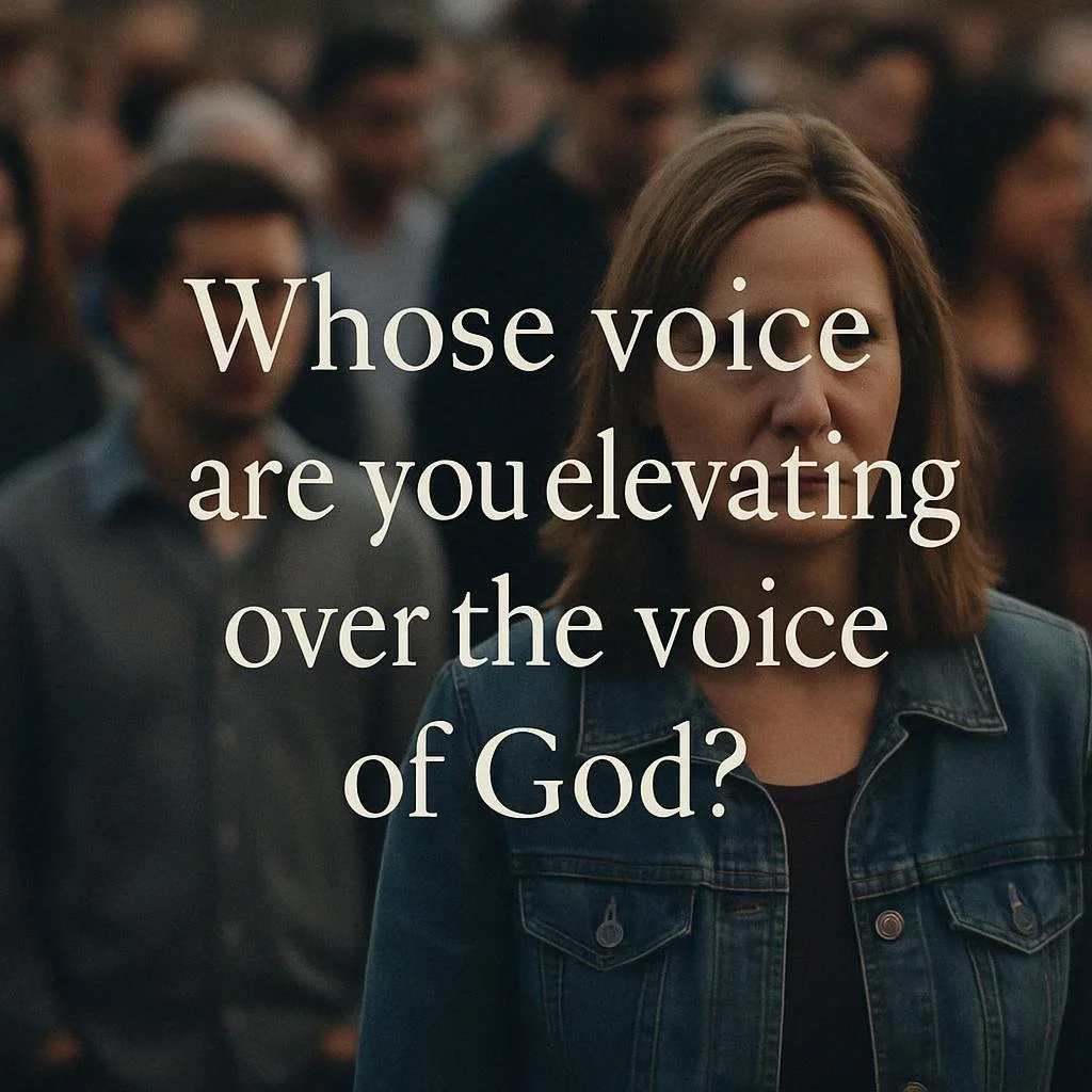 Whose Voice Are You Elevating?