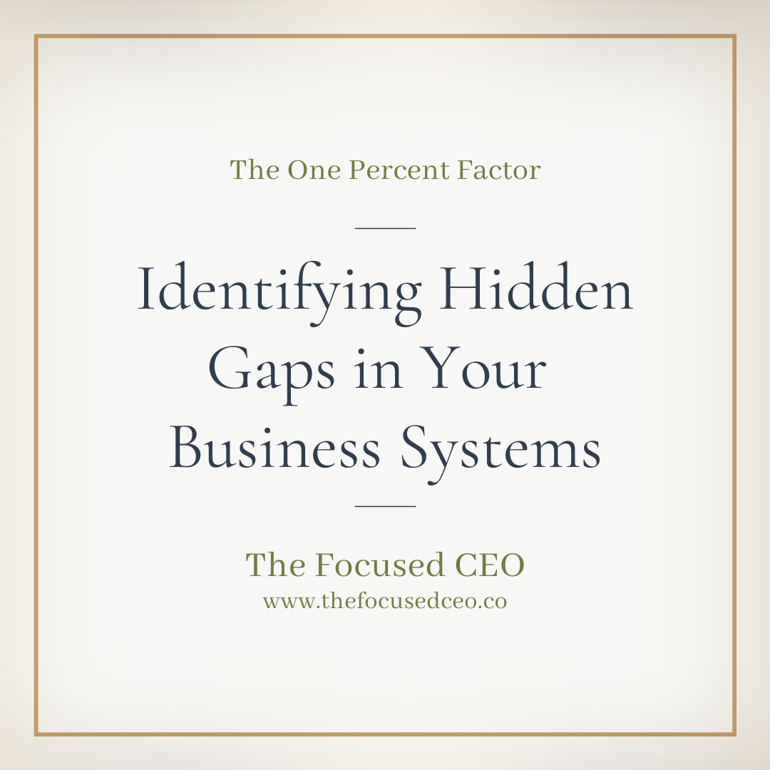 Identifying The Hidden Gaps in Your Key Business Systems