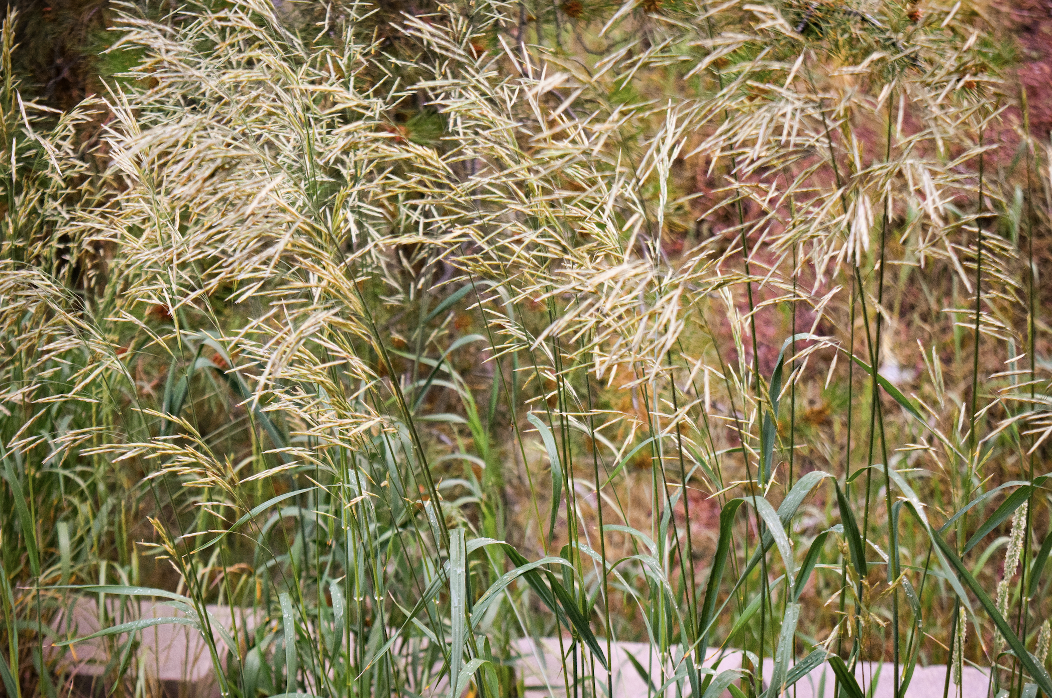 Screenshot 2024-11-14 at 9.09.37 PM.png