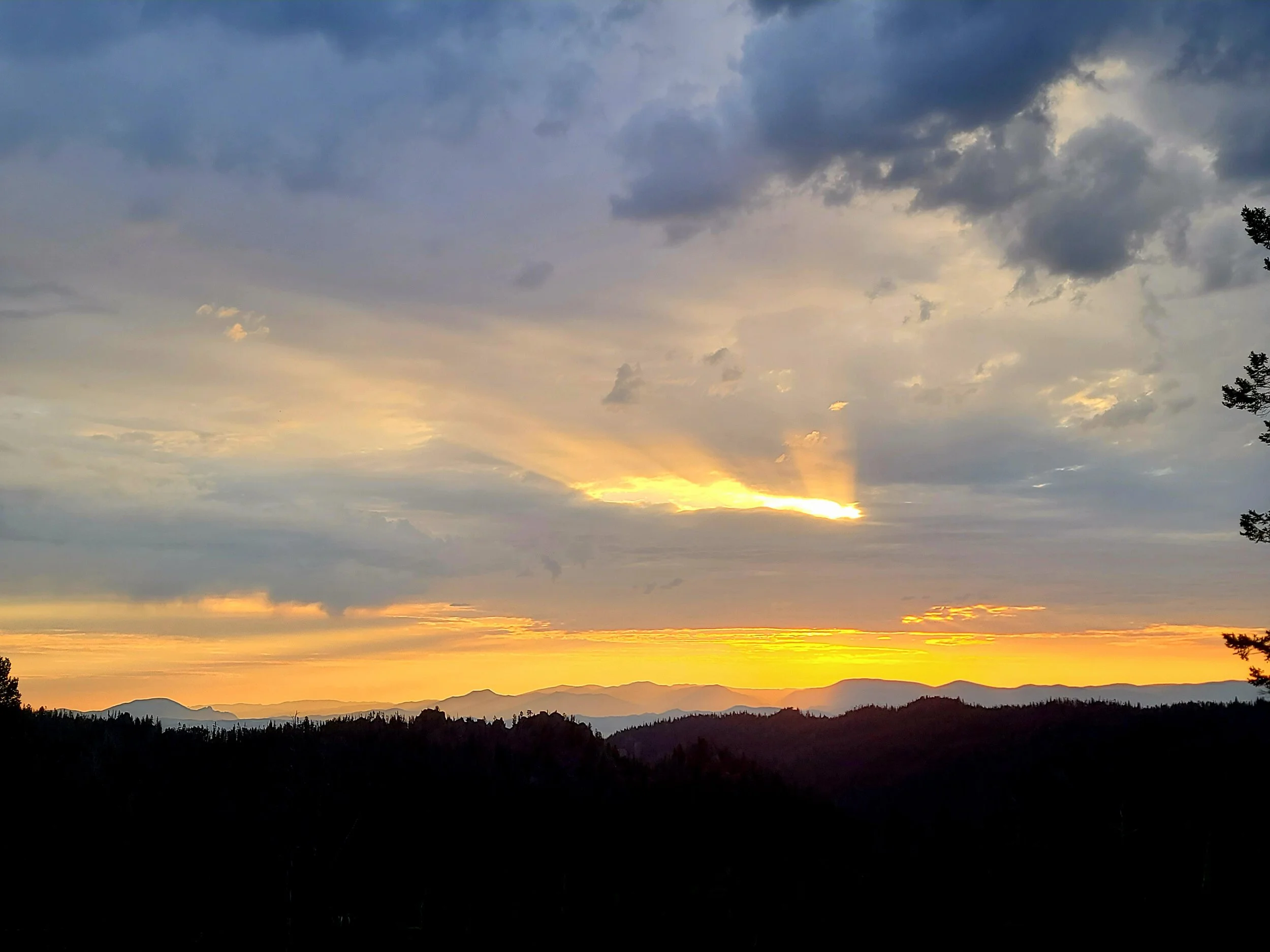 20230710_061628.jpg