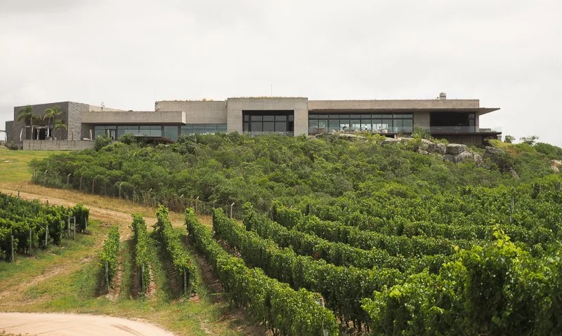 Bodega Garzon of Uruguay, Paired Wine Dinner presented by Enologist Mele Sosa
