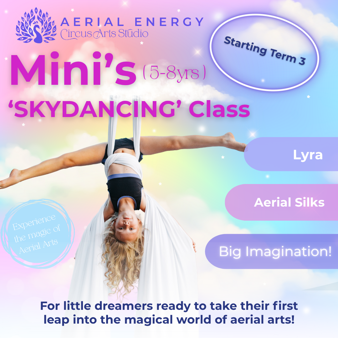 MINIS PROGRAM (2).png