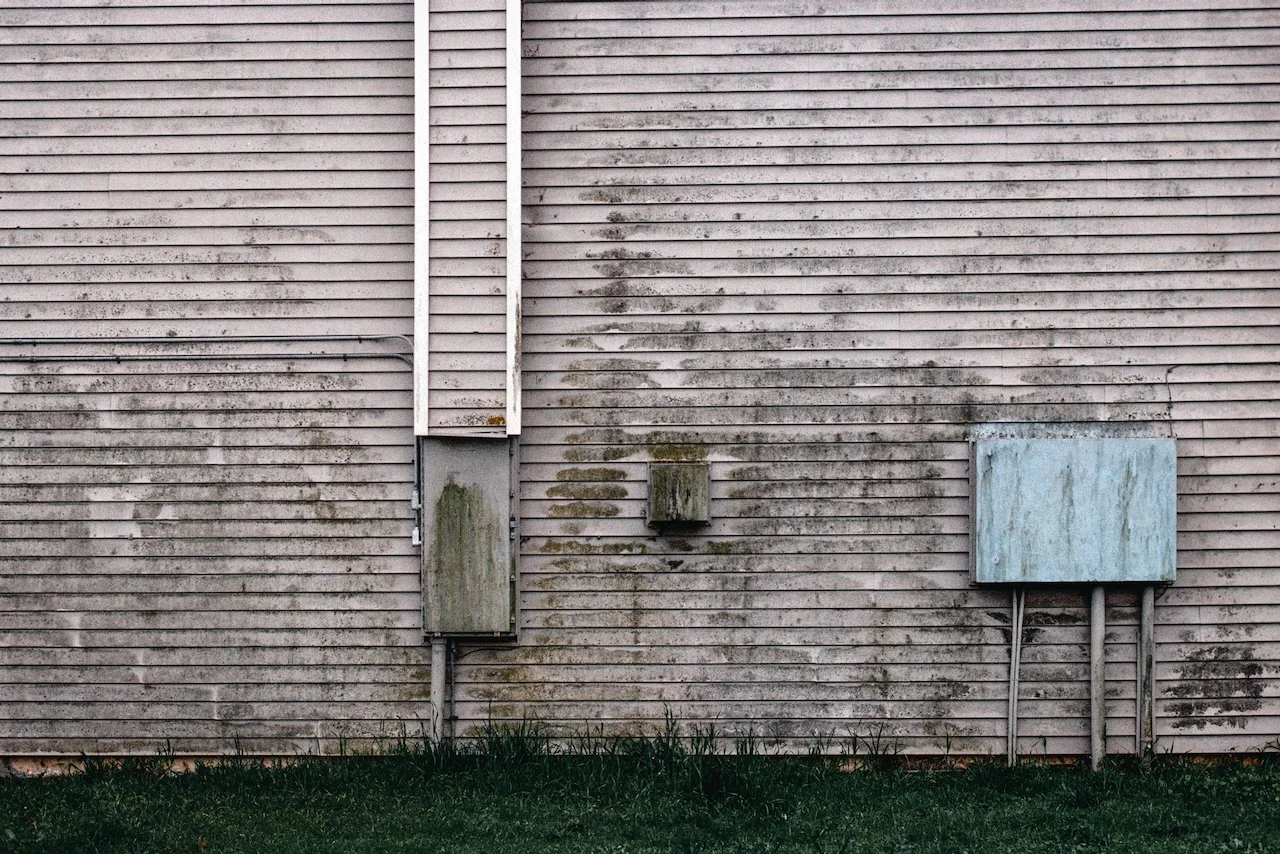 February 27, 2025-DSC08250-positive.jpeg