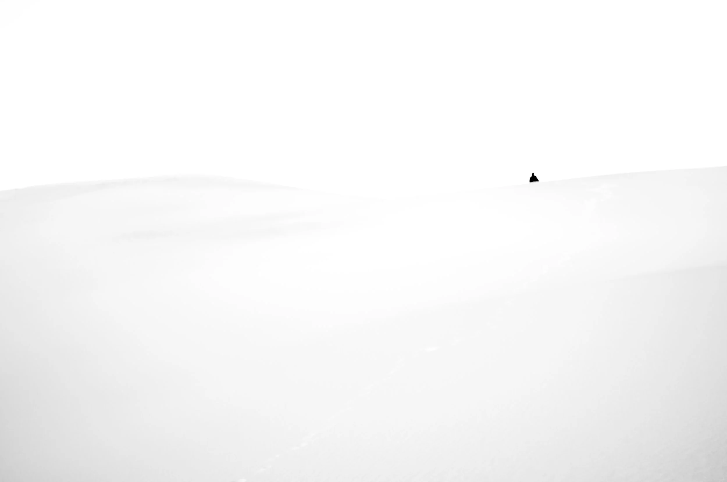 L1001538.JPG