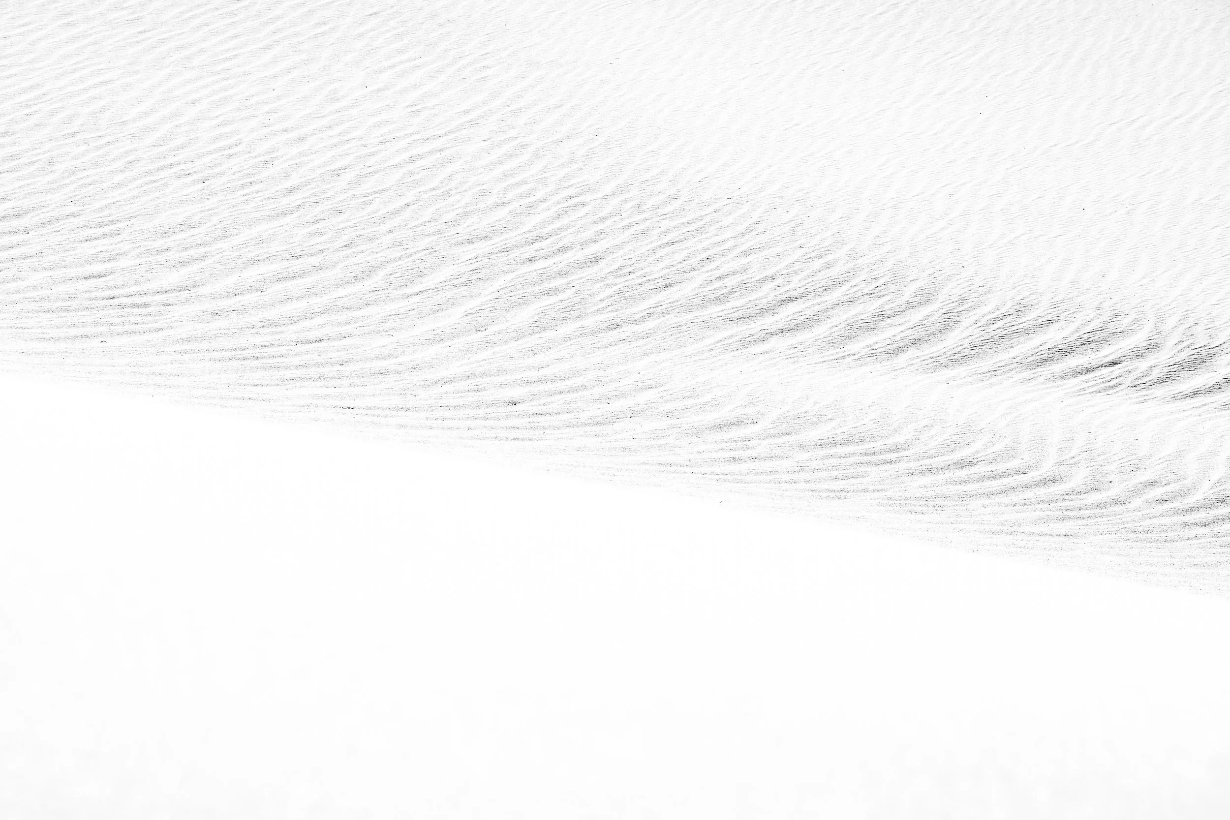 _DSC5200.JPG