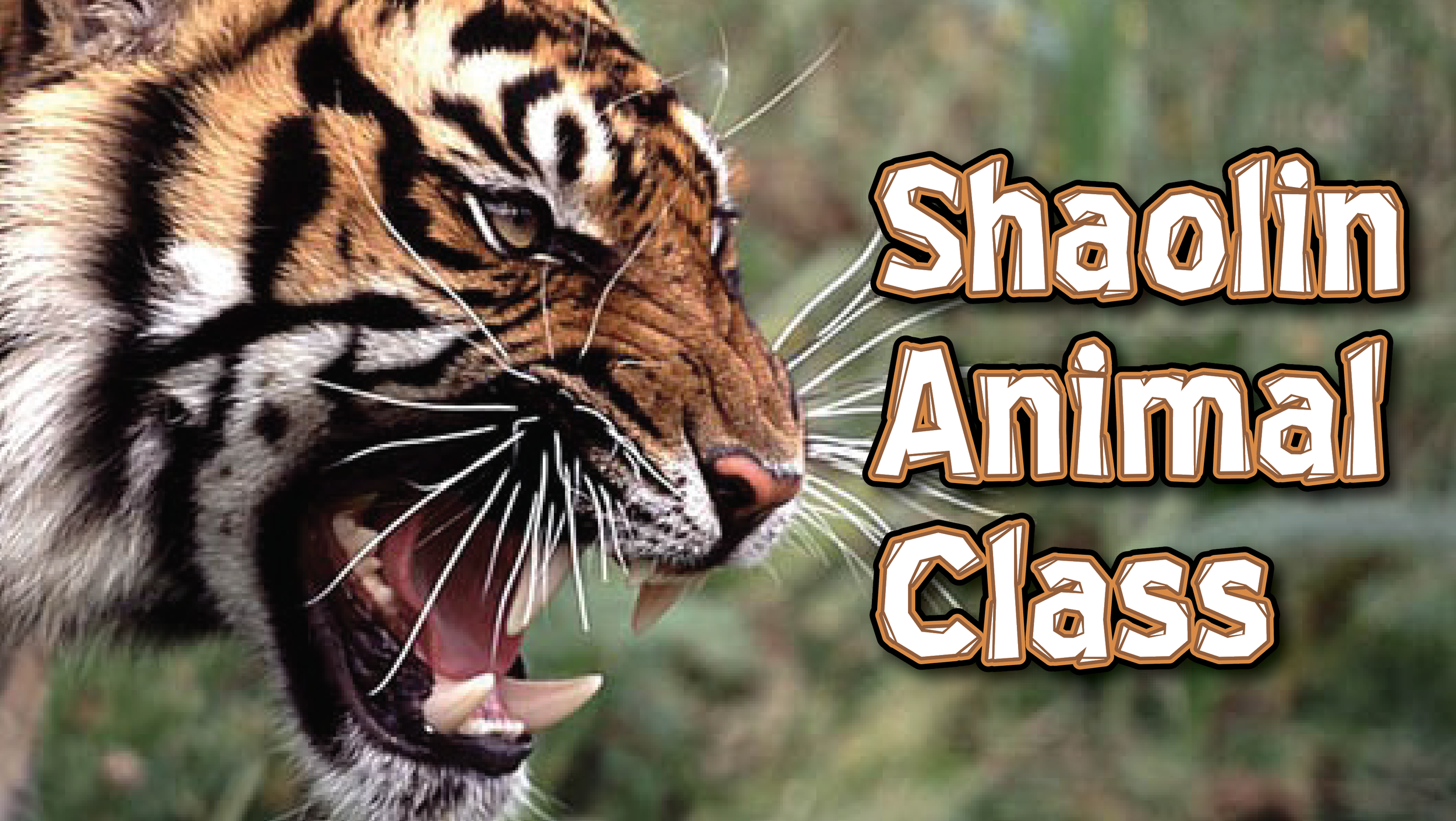 Shaolin Animal Class.png