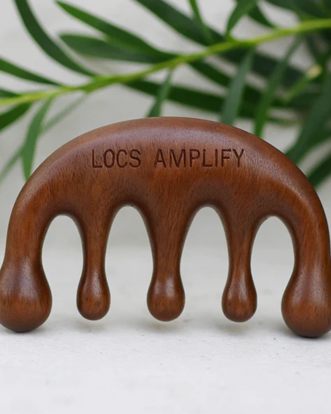 @locs.amplify_3.png
