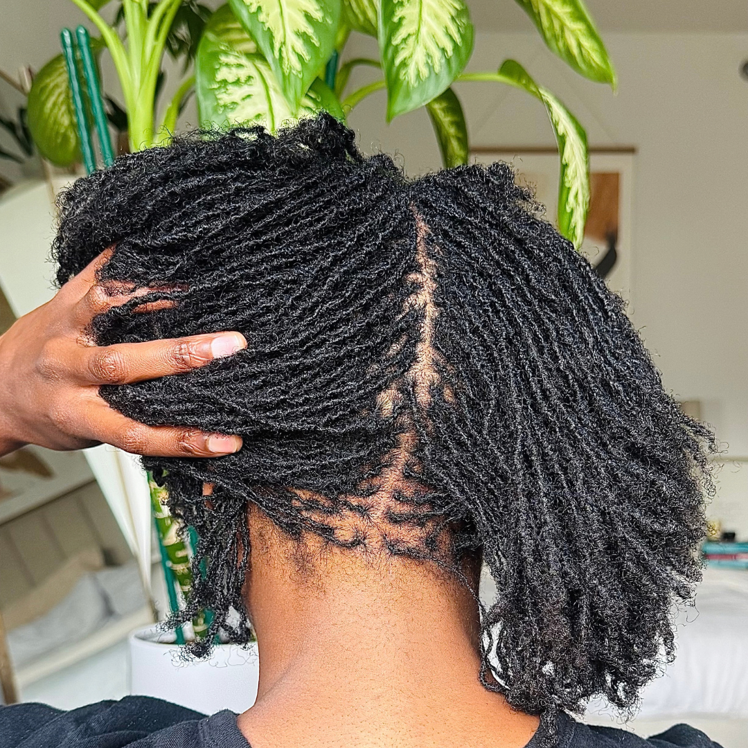 omalocs-beauty-microlocs-hairstyles2.png