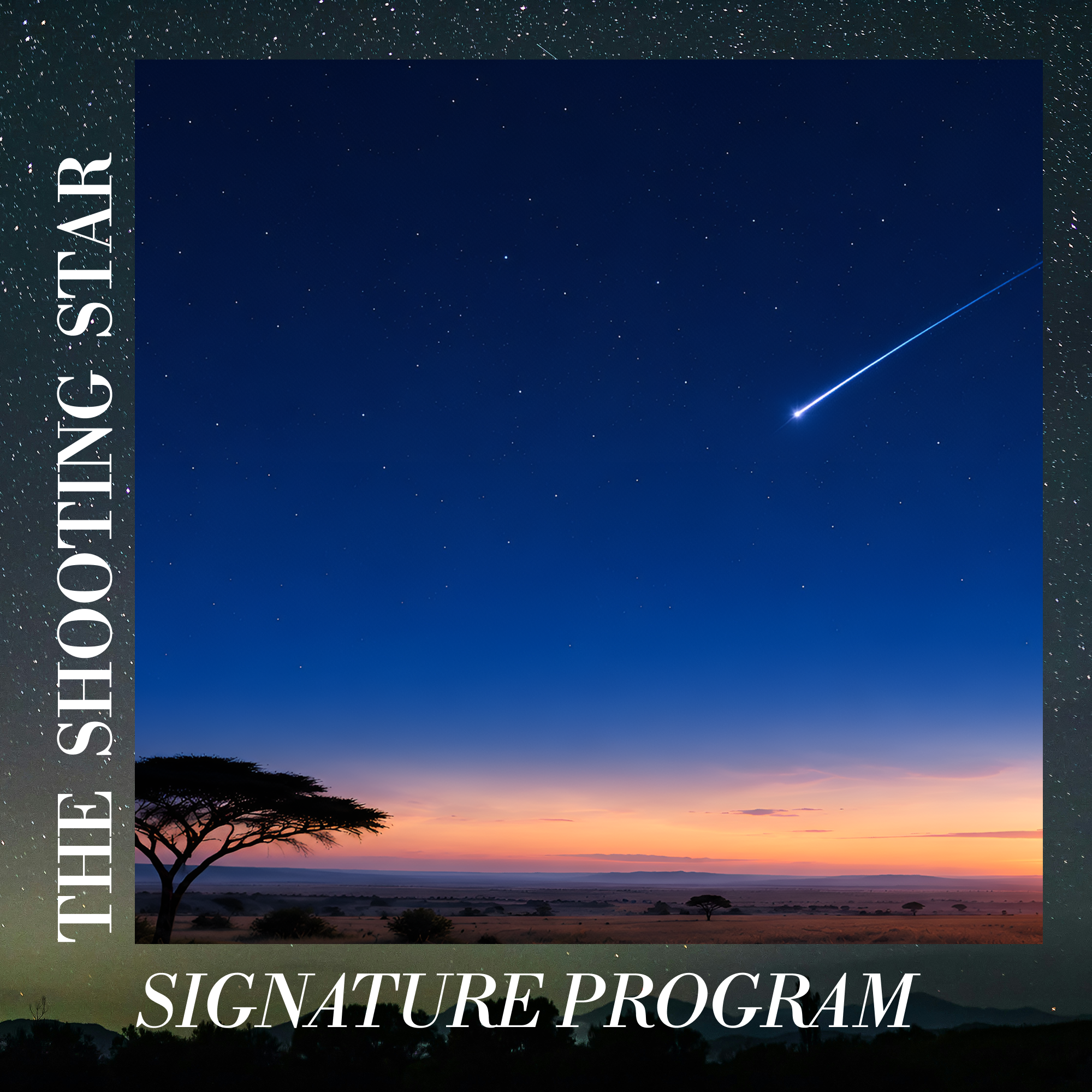 The Shooting Star Signature Program