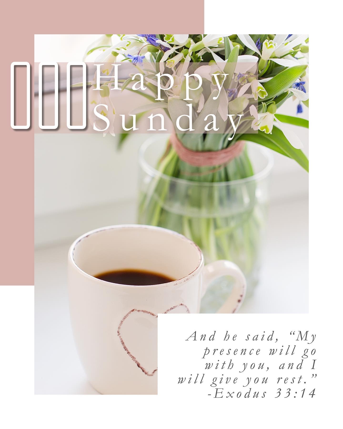 🌸Happy Sunday!🌸
May you seek rest today and find it in a loving Lord who is waiting with arms stretched wide. 🥰
And he said, “My presence will go with you, and I will give you rest.” -Exodus 33:14
#rest #Sunday #chooserest #medicalc