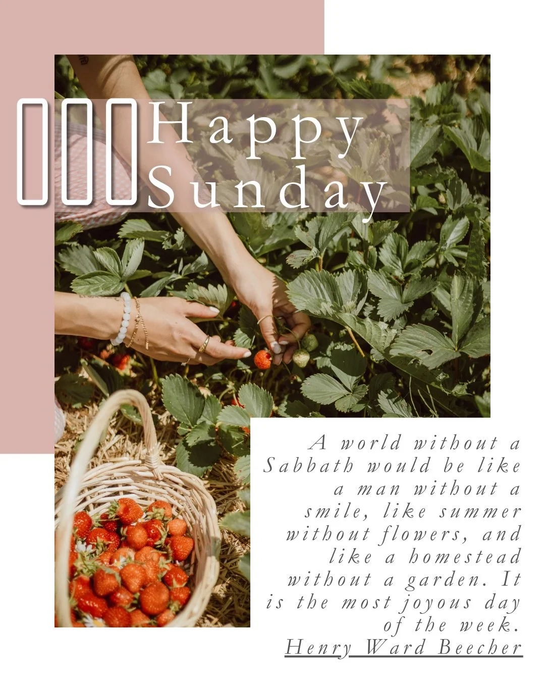 🌸Happy Sunday🌸
“A world without a Sabbath would be like a man without a smile, like summer without flowers, and like a homestead without a garden. It is the most joyous day of the week.” — Henry Ward Beecher
Step into joy today&