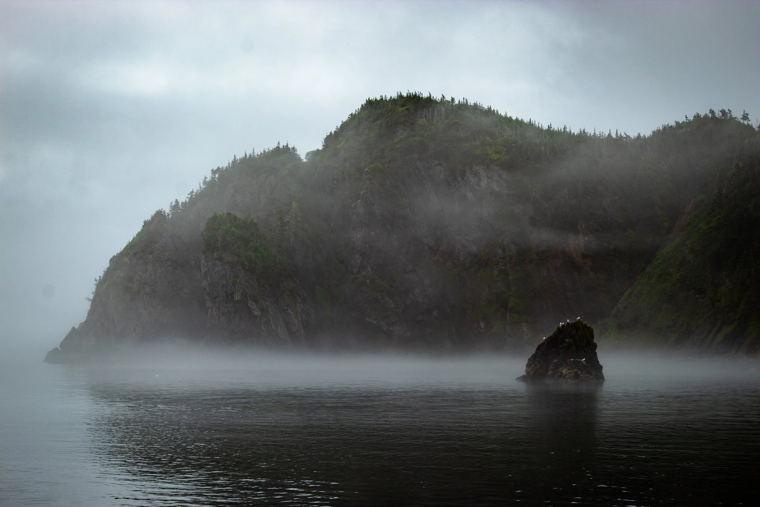 Chance Cove | Newfoundland, Canada 2023