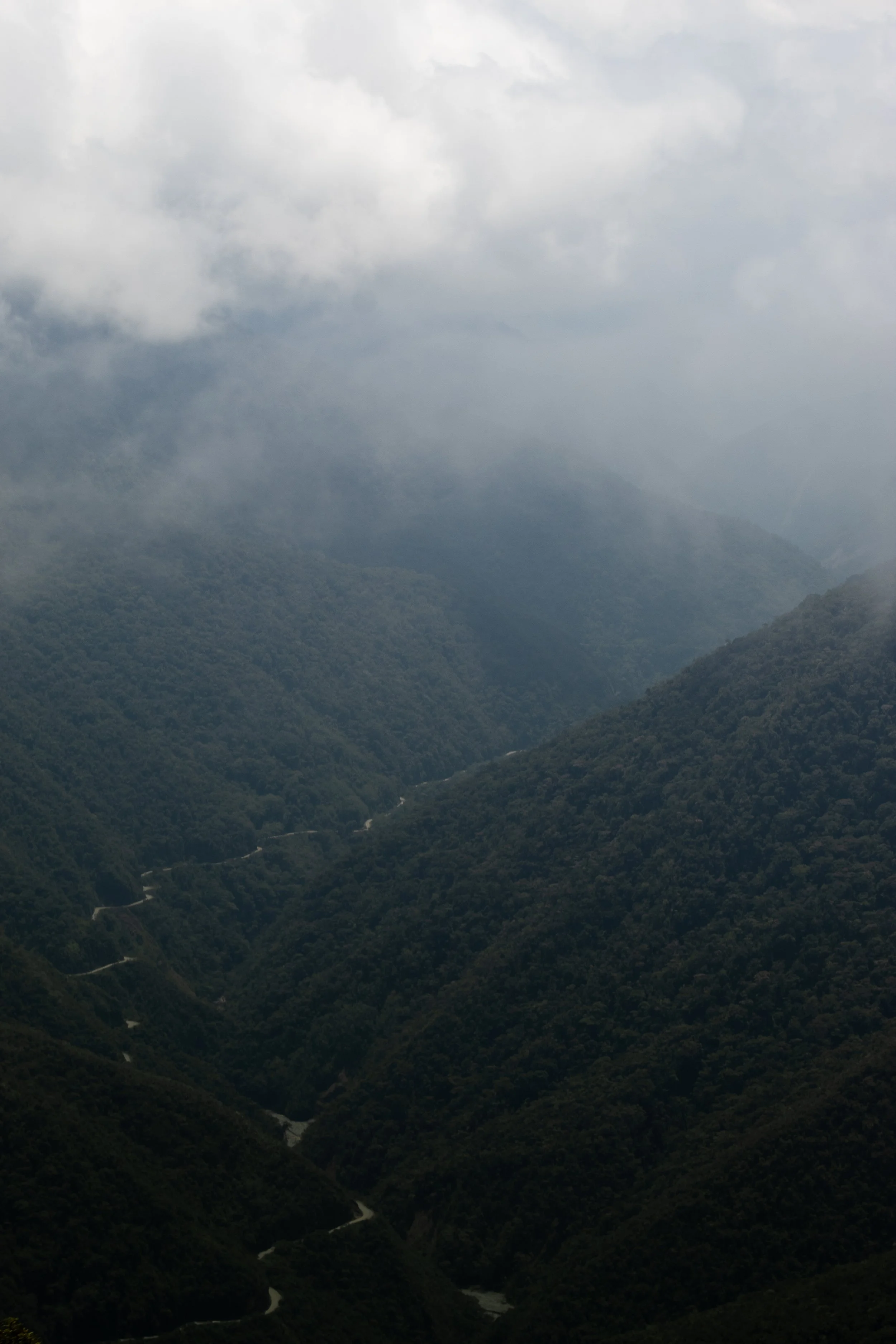 Manu National Park | Peru 2022