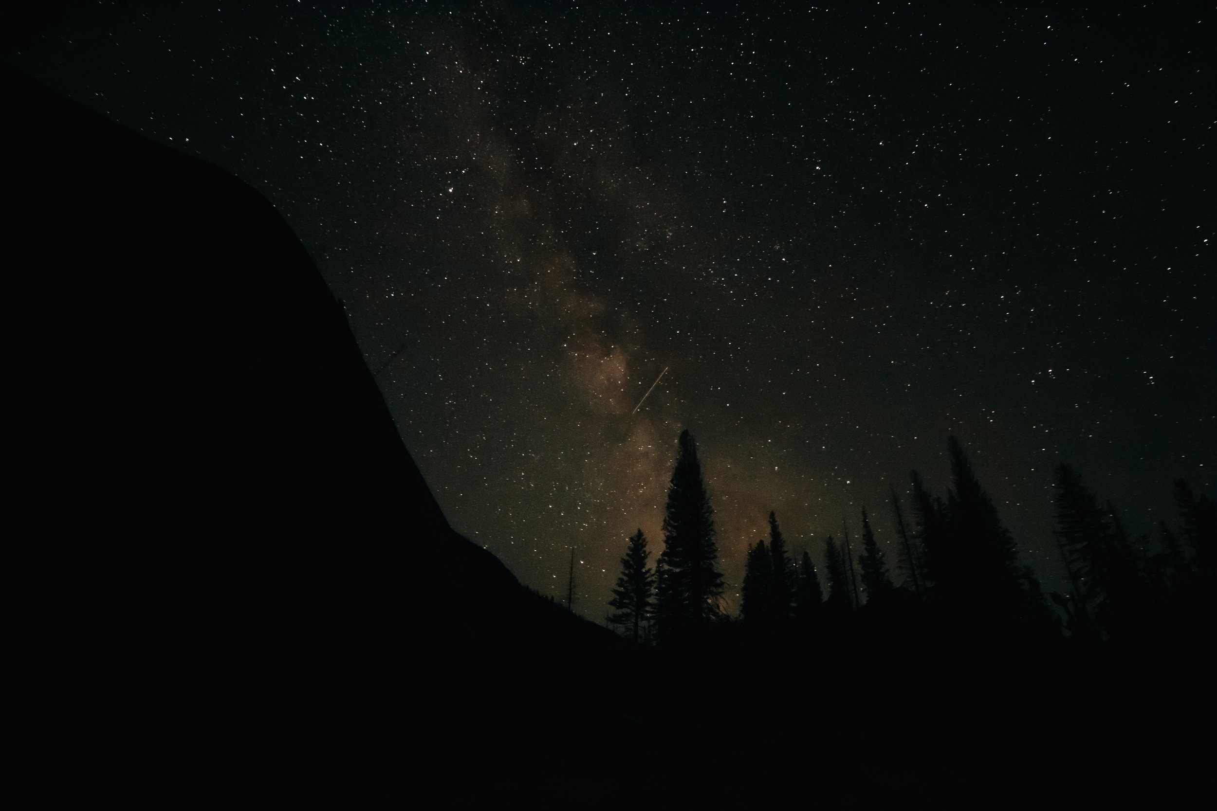 GNP_REH_2024_ShootingStar.jpg
