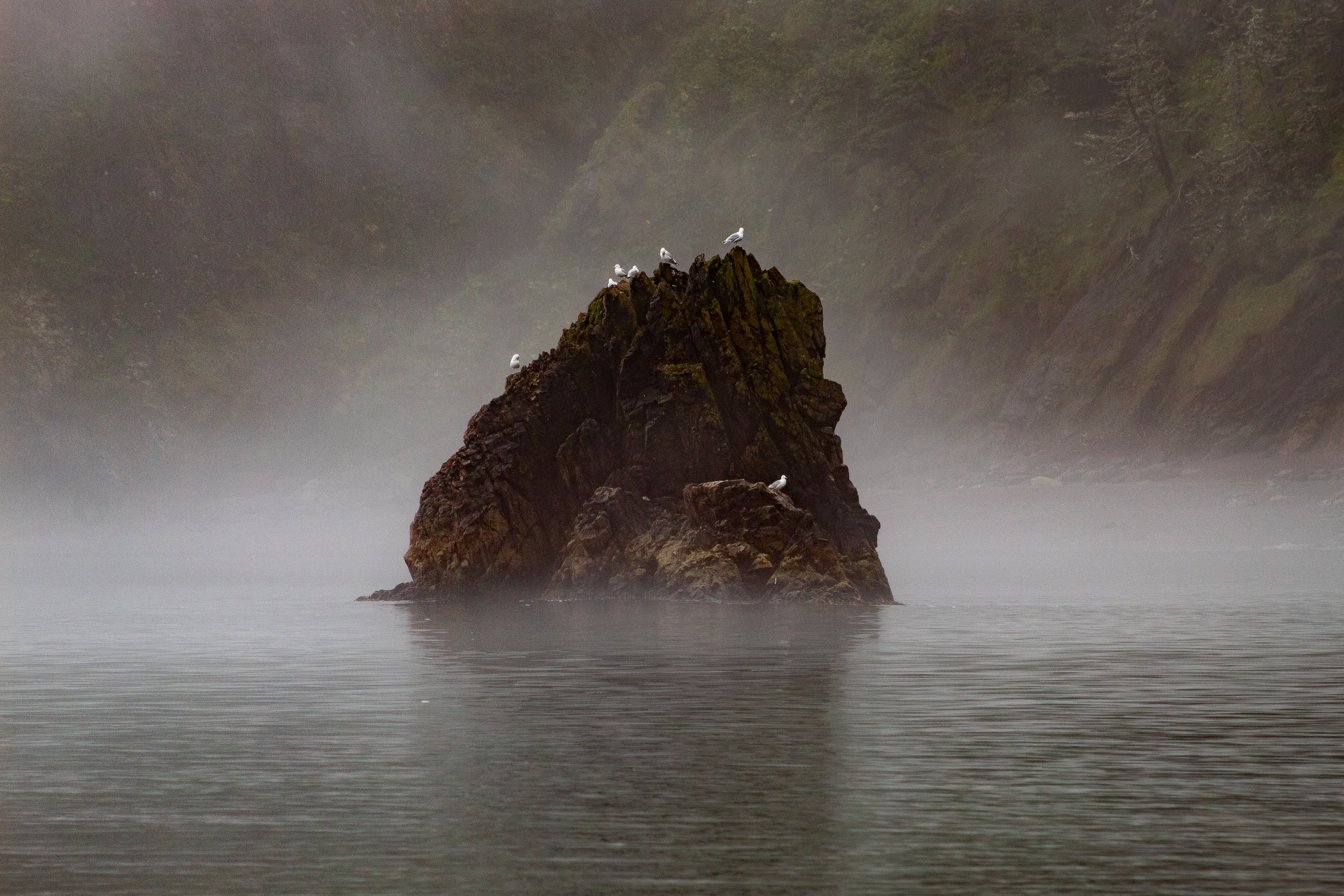 Seagull Rock | Newfoundland, Canada 2023