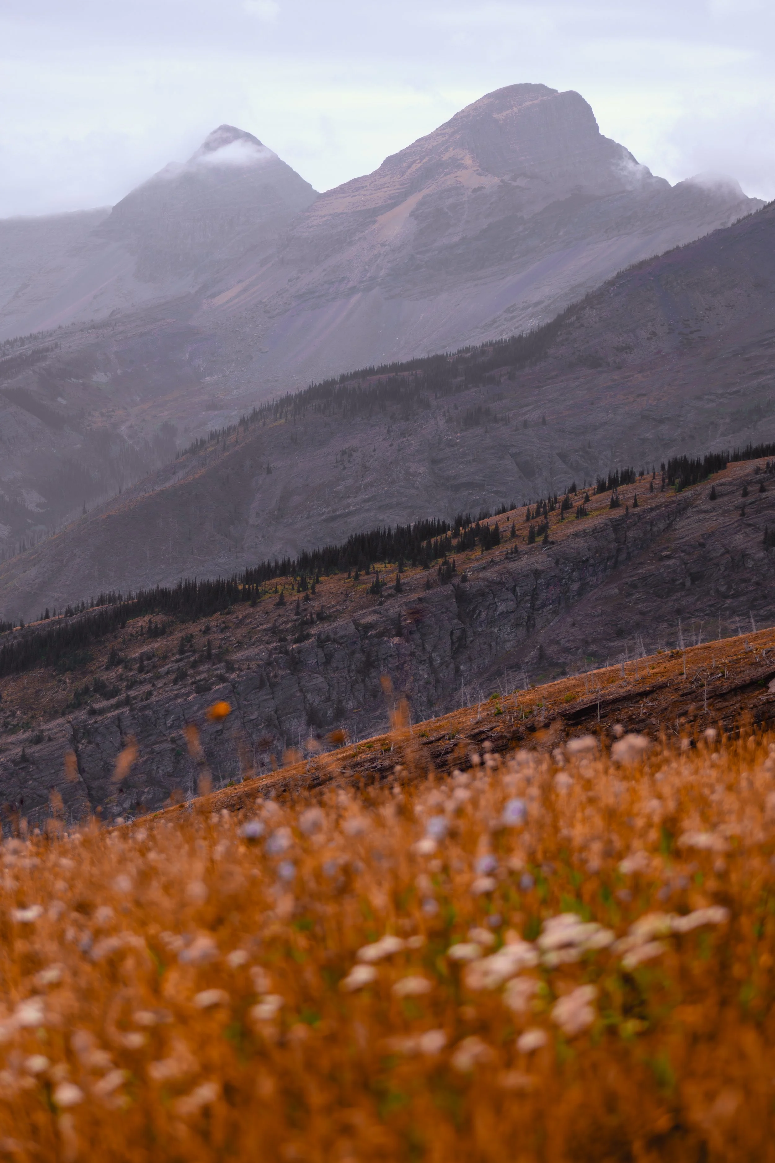 The North Circle Loop | Glacier NP 2025