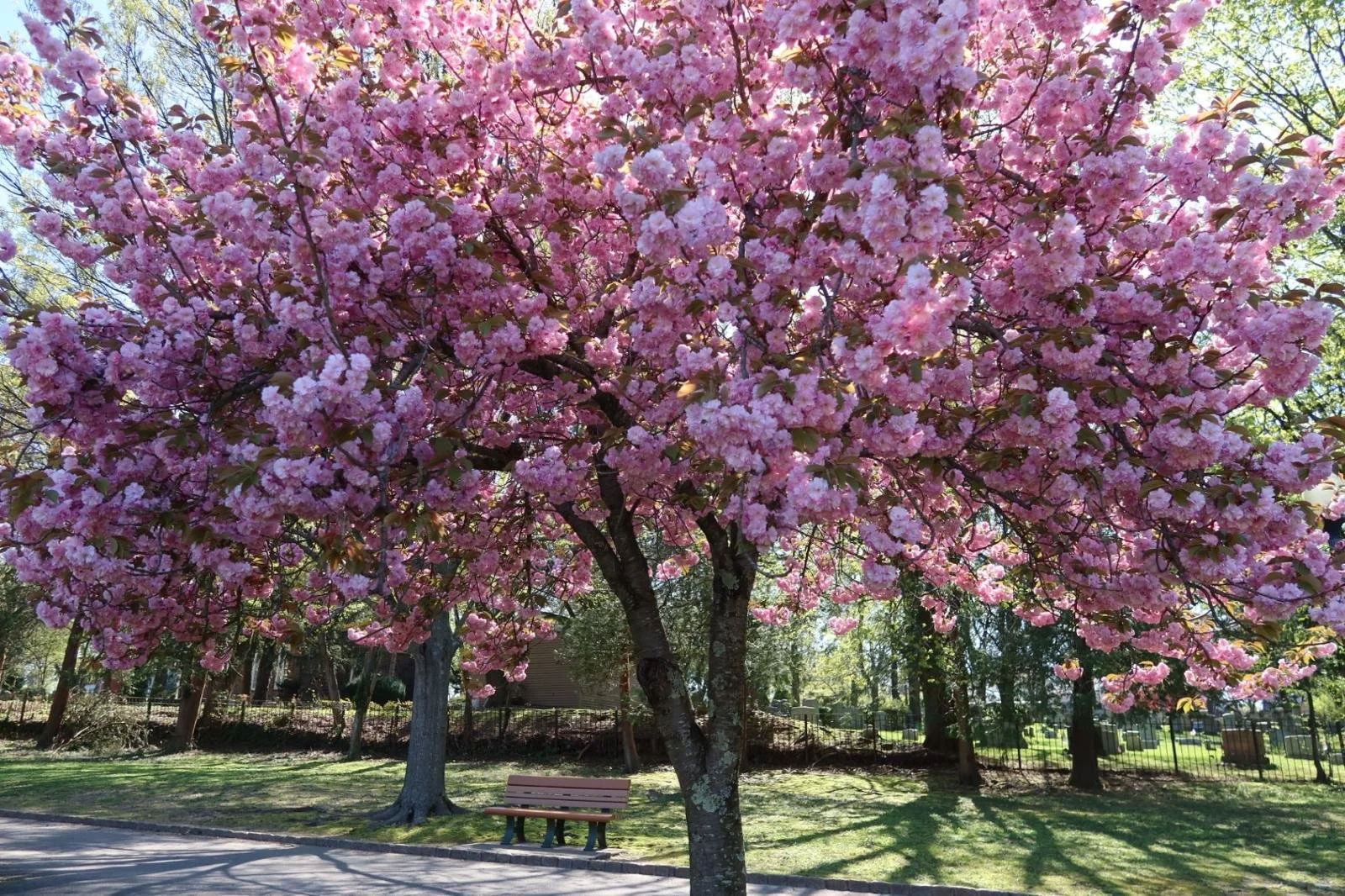 WhatsApp Image 2024-05-13 at 15.48.12.jpeg