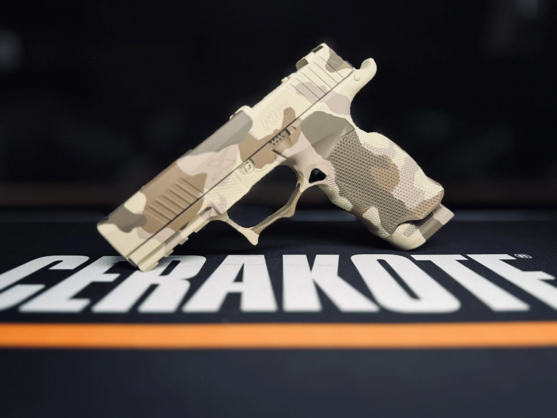 Sig desert.jpeg