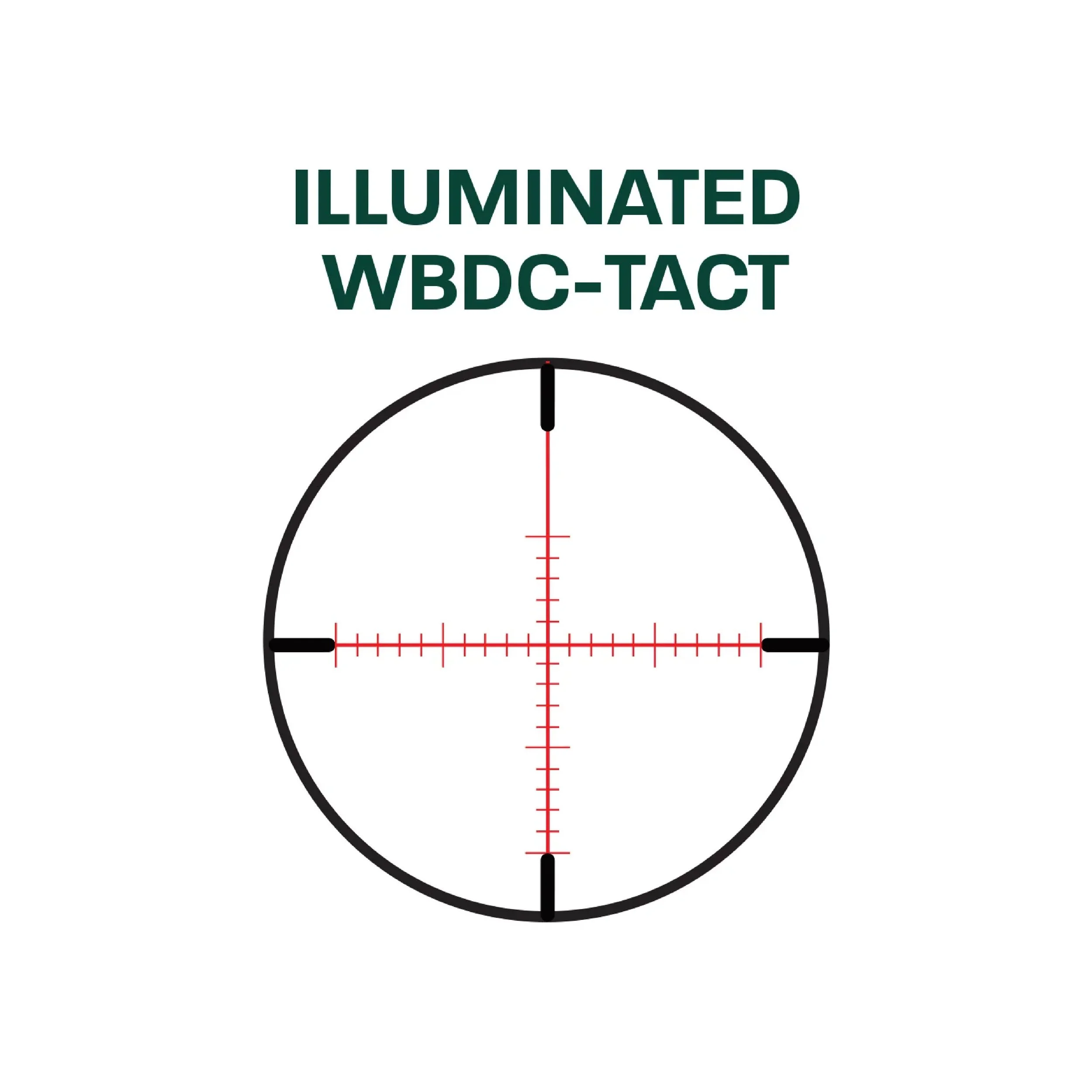 illuminated WBDC-TACT.jpg