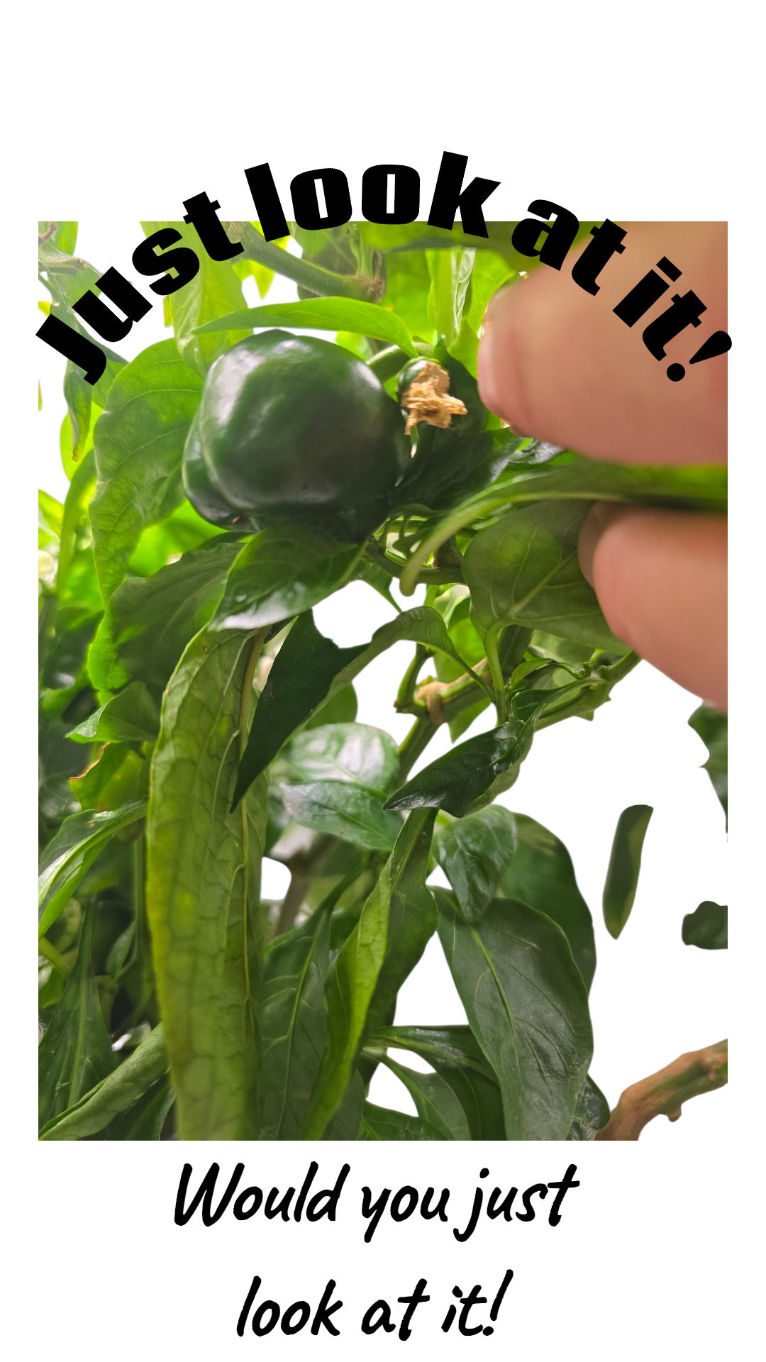 1000012699.png