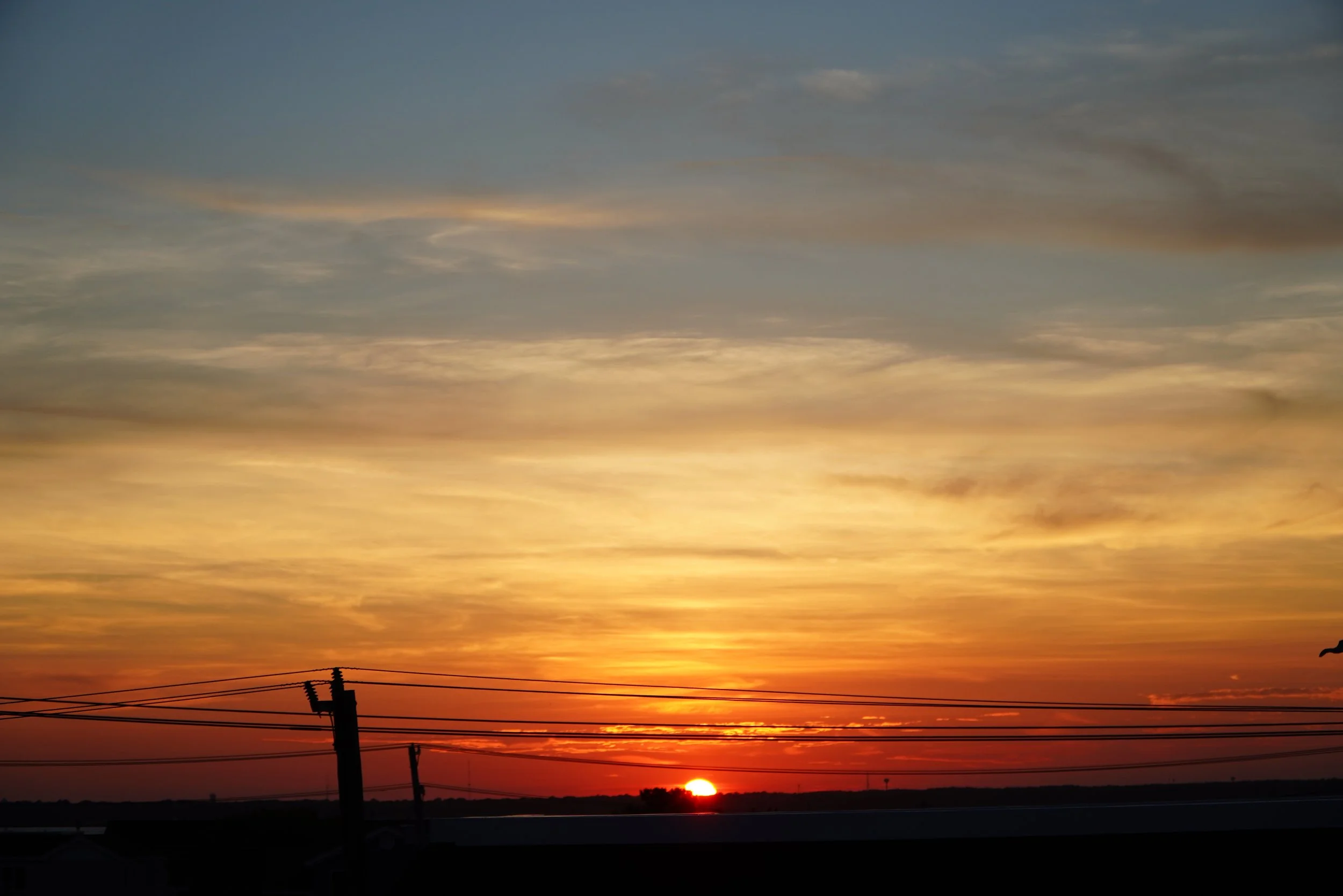DSC04407.JPG