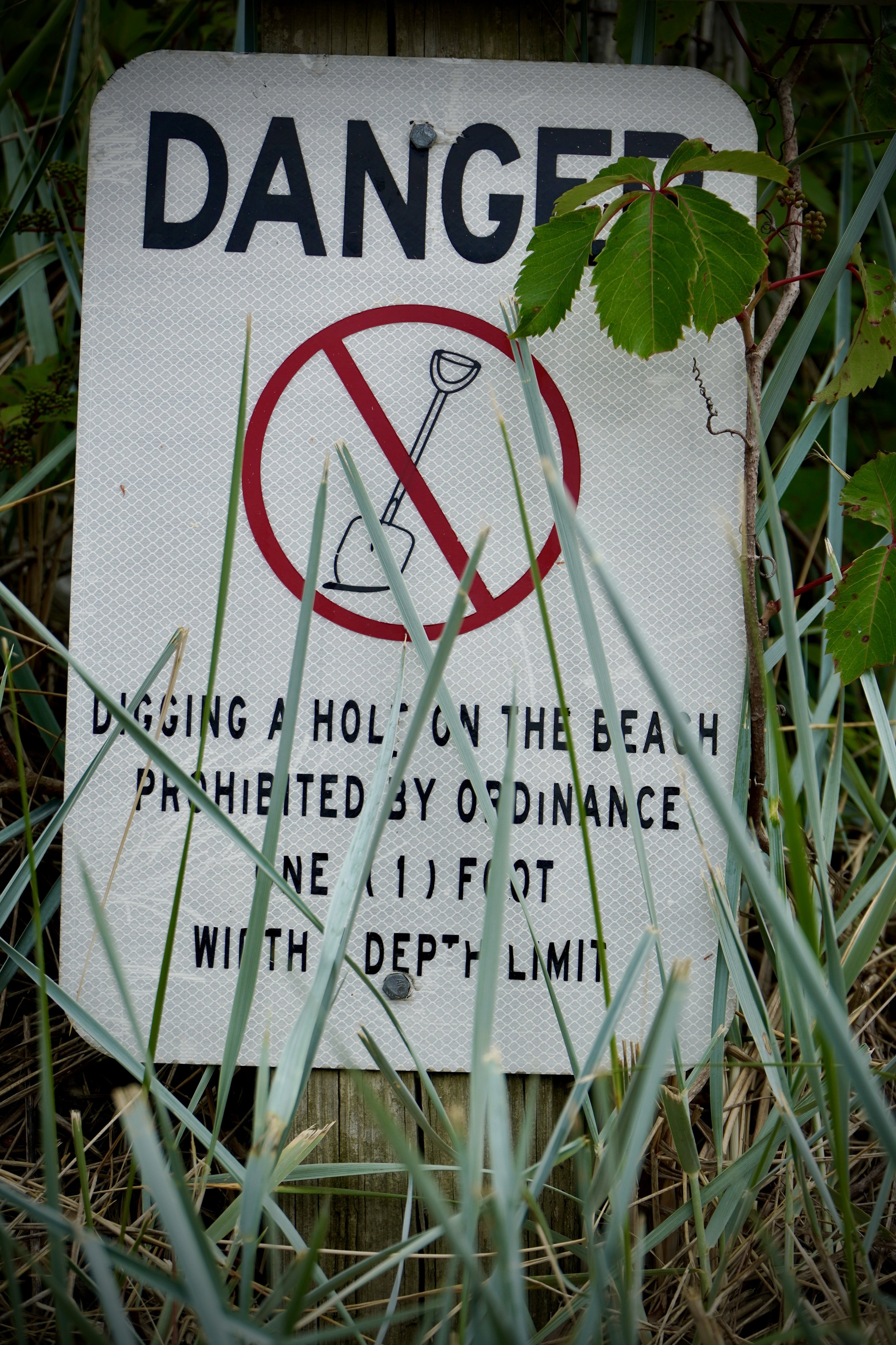 DSC01503.JPG