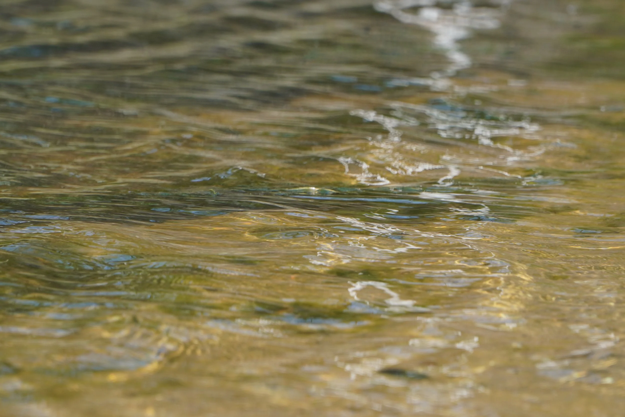DSC09418.JPG