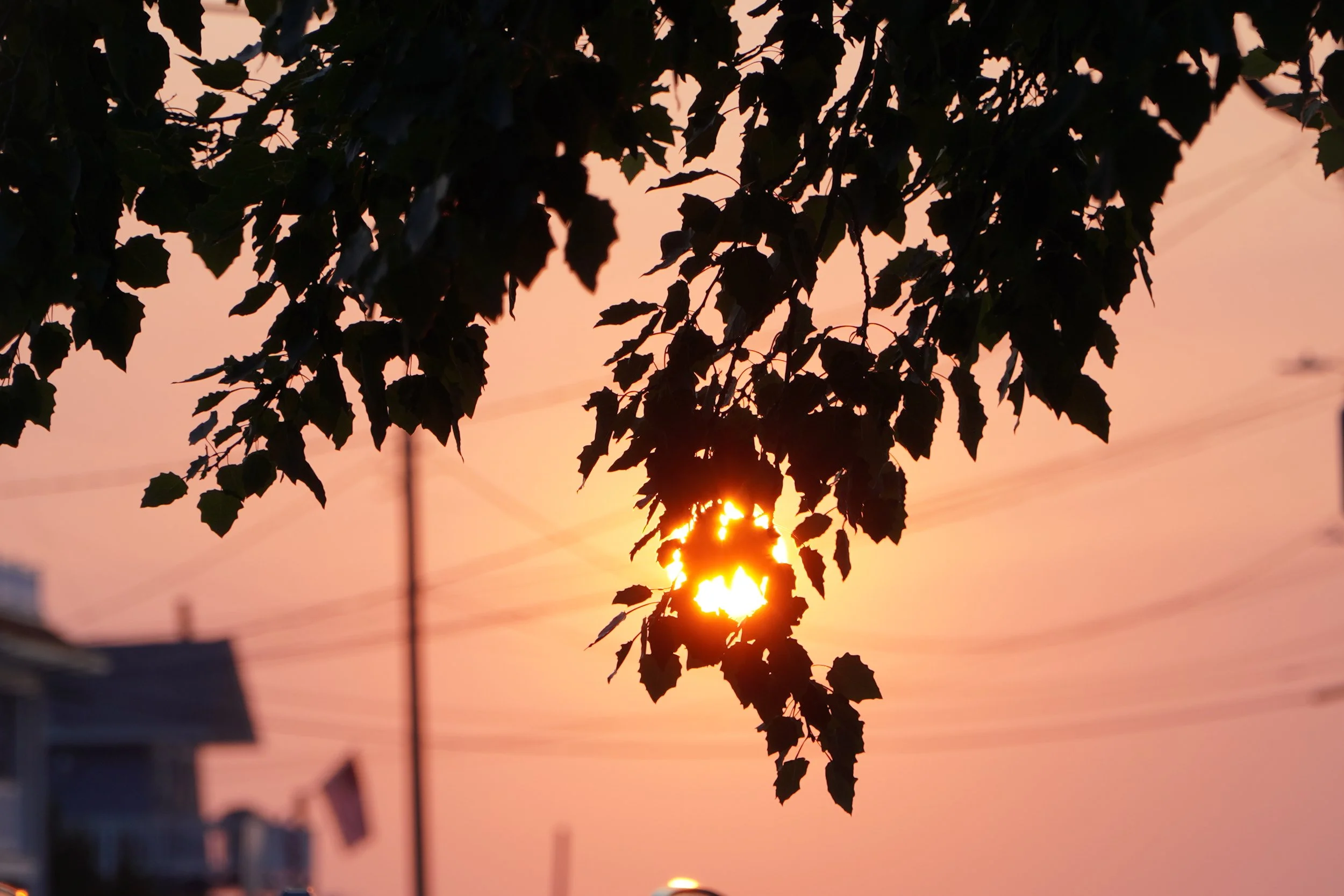 DSC01434.JPG