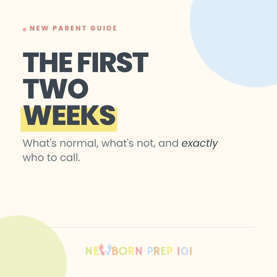 The First Two Weeks.jpg