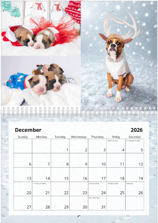 2026 Calendar (Shipped)
