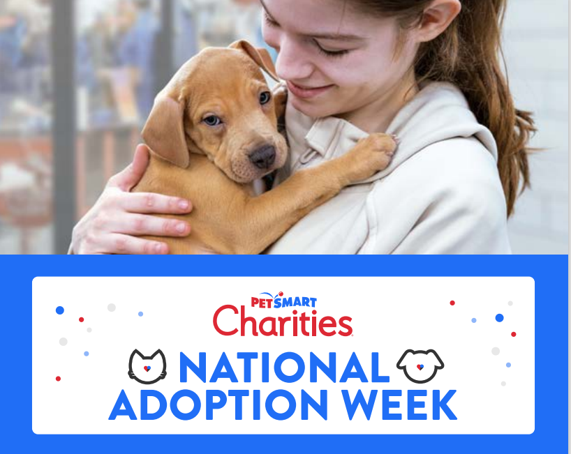 Join Us For National Adoption Week! 💛