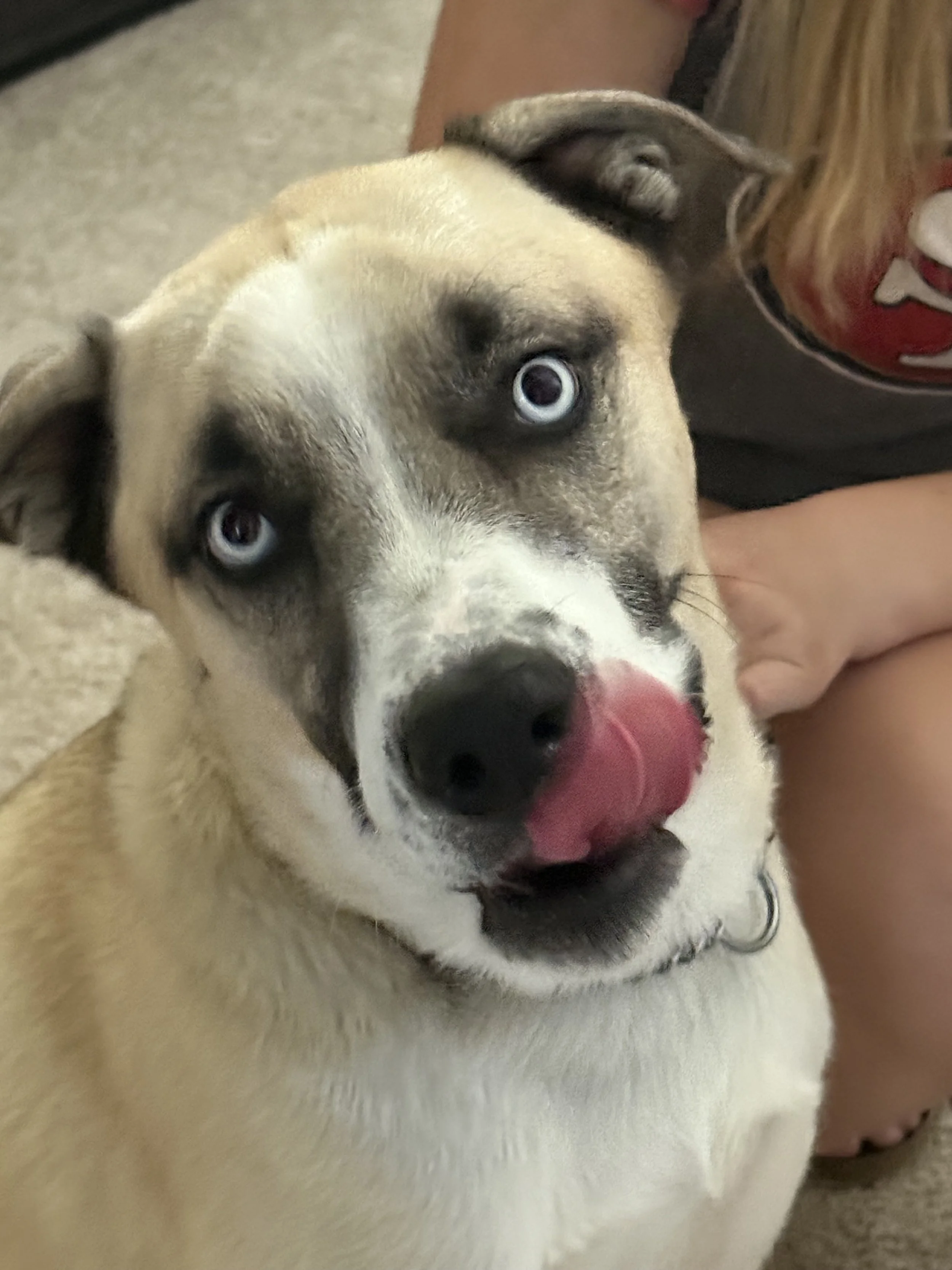 Petsmart Adoption Event