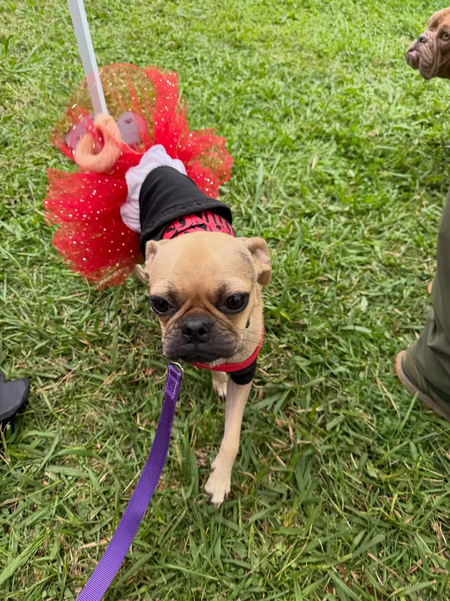 Come see us today at James Marshall Park in Sacramento we are here until 3pm