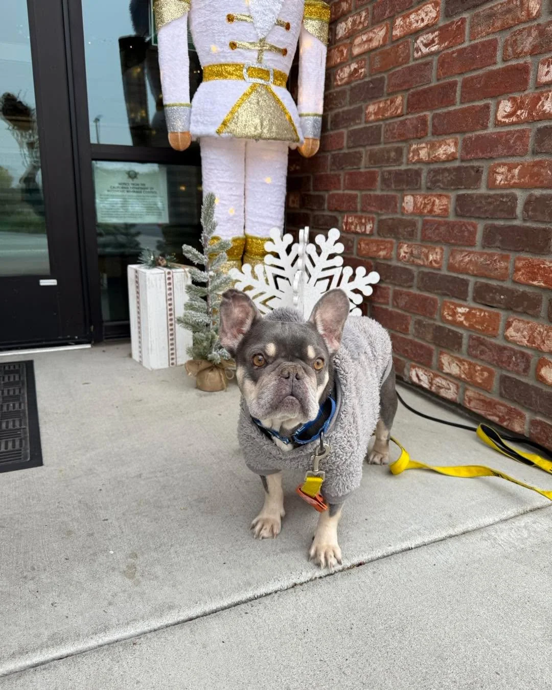 💛 Thank you to everyone who came out to our adoption events this weekend! 💛

So many sweet, deserving pups found their forever families, and our hearts are so full. 🐾🏡

Remember &mdash; you never have to wait for an event to meet your new best fr