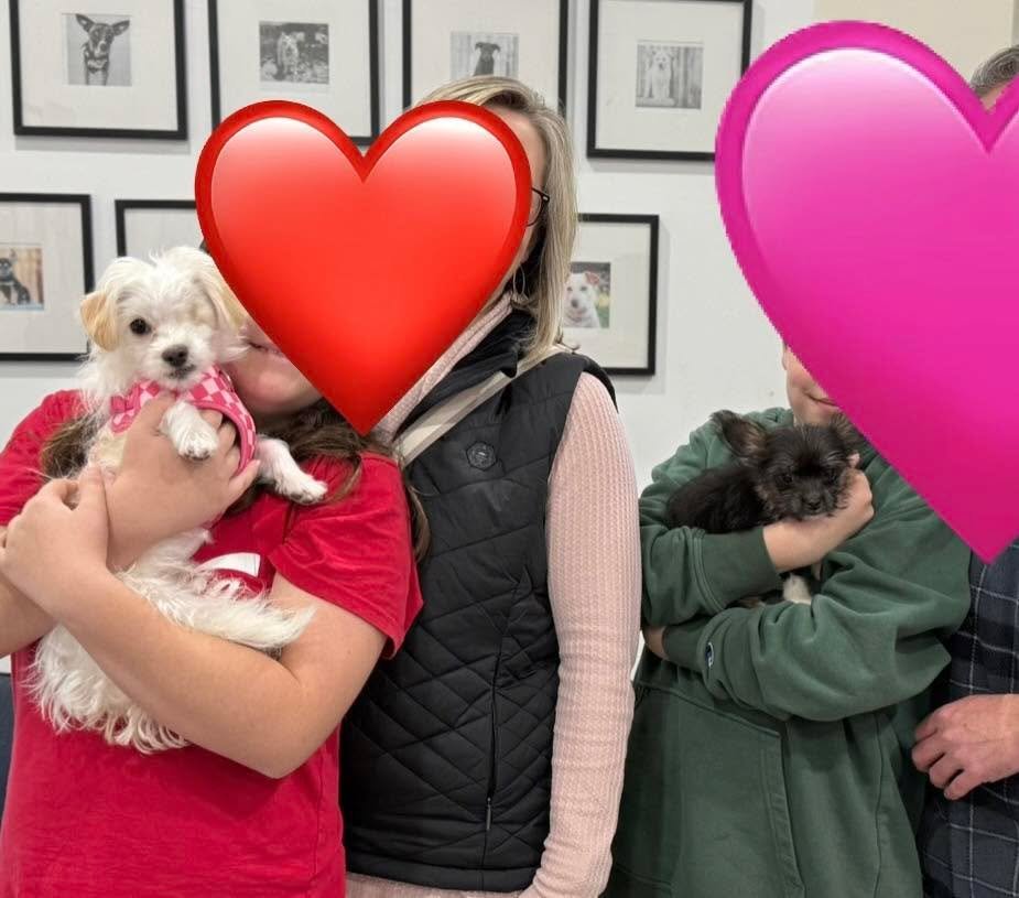 ✨ Before &amp; After: From Hard Starts to the Sweet Life ✨🐾

Some stories remind us exactly why rescue matters.

Eilene (now Luna) didn&rsquo;t get an easy beginning. She was left behind at a veterinary clinic after suffering a serious eye injury. D