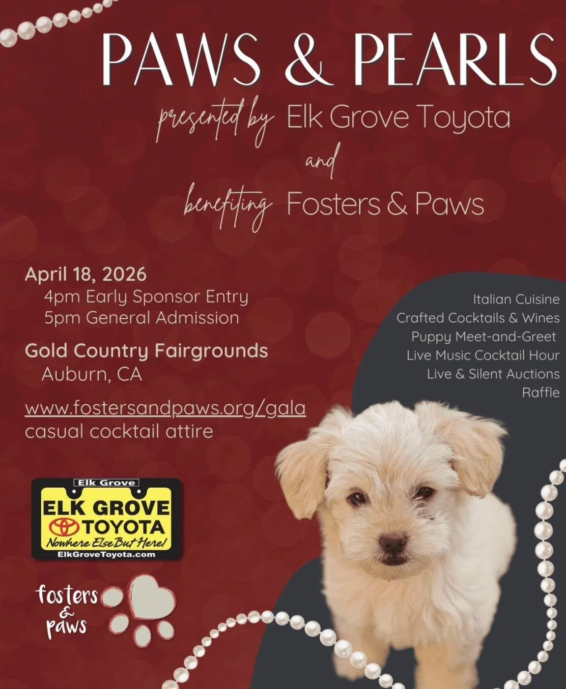 🎉🐾 The Moment We&rsquo;ve Been Waiting For&hellip; GALA TICKETS ARE LIVE! 🐾🎉

Get ready for one of the most fun nights of the year &mdash; the Fosters &amp; Paws 2026 Gala is officially open for ticket sales!

📅 April 18th
📍 Auburn Fairgrounds
