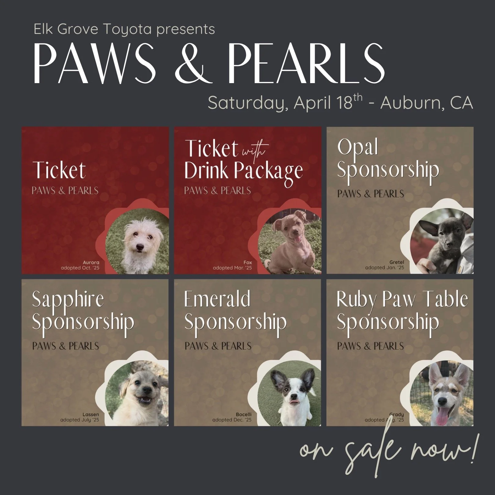 ✨ girls night, but make it meaningful ✨

grab your friends, get dressed up, and join us for a night that actually makes a difference 🐾

🍷 amazing food &amp; craft cocktails
🎶 live music + dreamy vibes
🛍️ silent auction + exclusive live auction ex