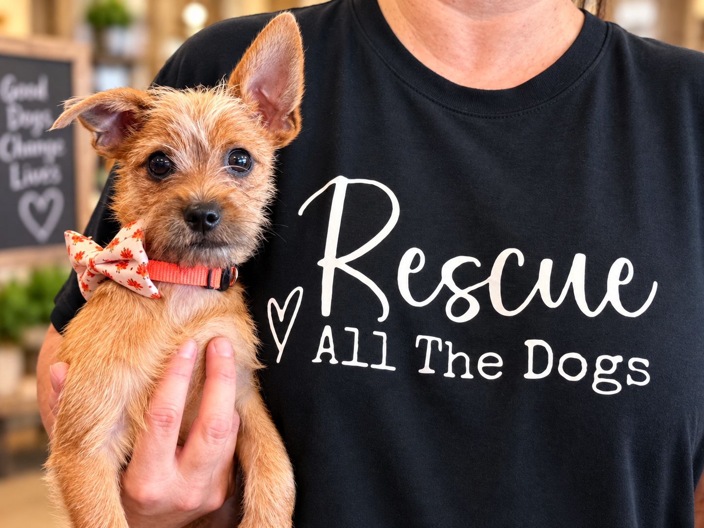 PetSmart Adopt Joy™ Adoption Event 🐾